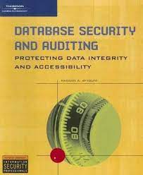 Database Security and Auditing